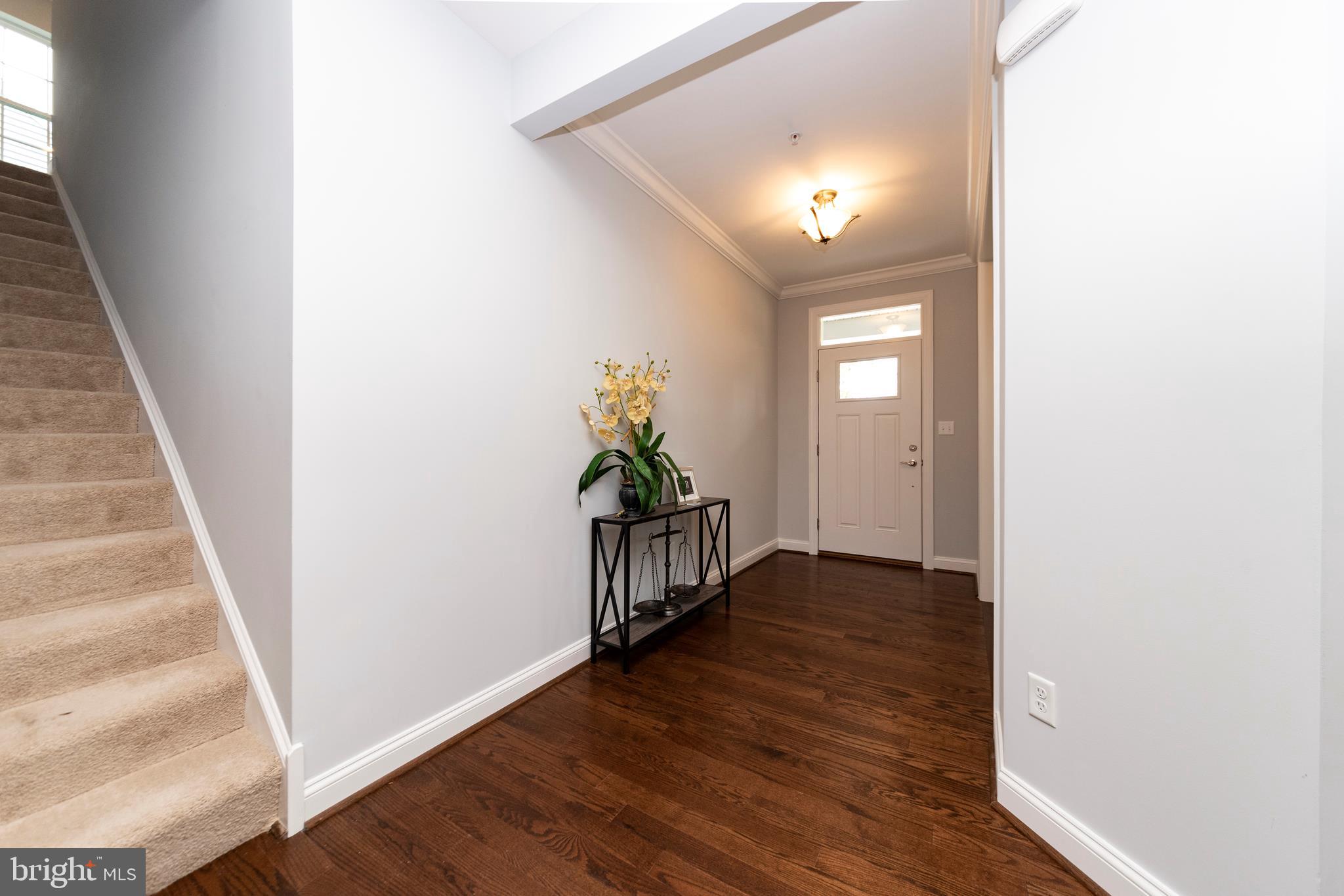 WHITETAIL CROSSING - Residential