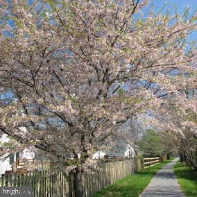 SPRING MILLS - Residential