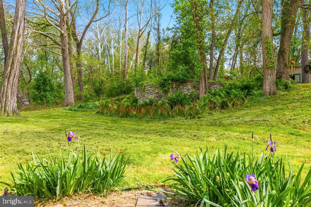 GREENSPRING VALLEY - Residential