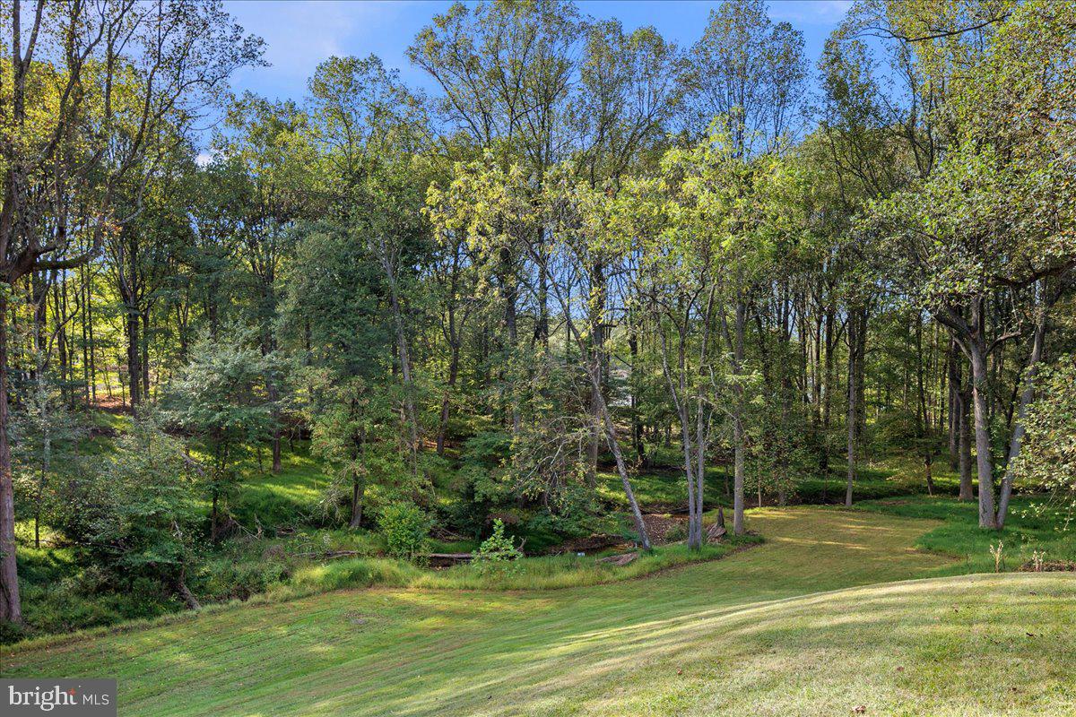 10816 BARN WOOD LANE