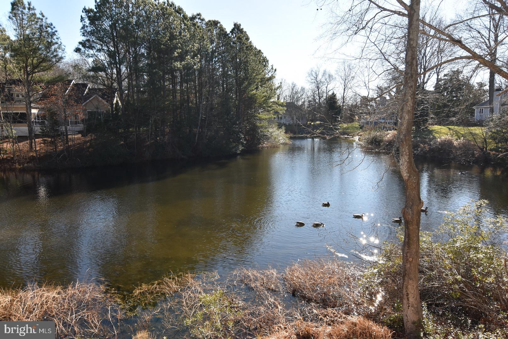 THE GLADE - Residential