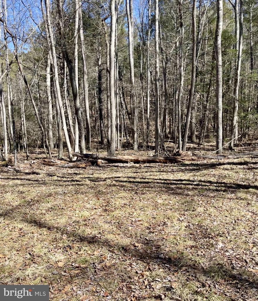 11.87 acres, level, woodland, joining National Forest with a native trout stream running through the property.  Excellent property for the hunter or nature enthusiast.  Cleared building site for house or camper along with market timber.  Located in Fort Seybert, Rough Run.