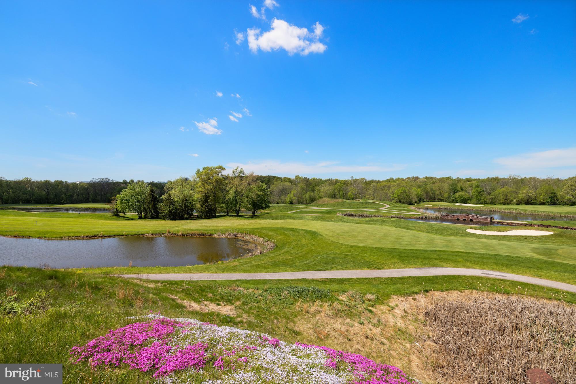 THE COURTYARDS AT THE LINKS OF GETTYSBURG - Residential
