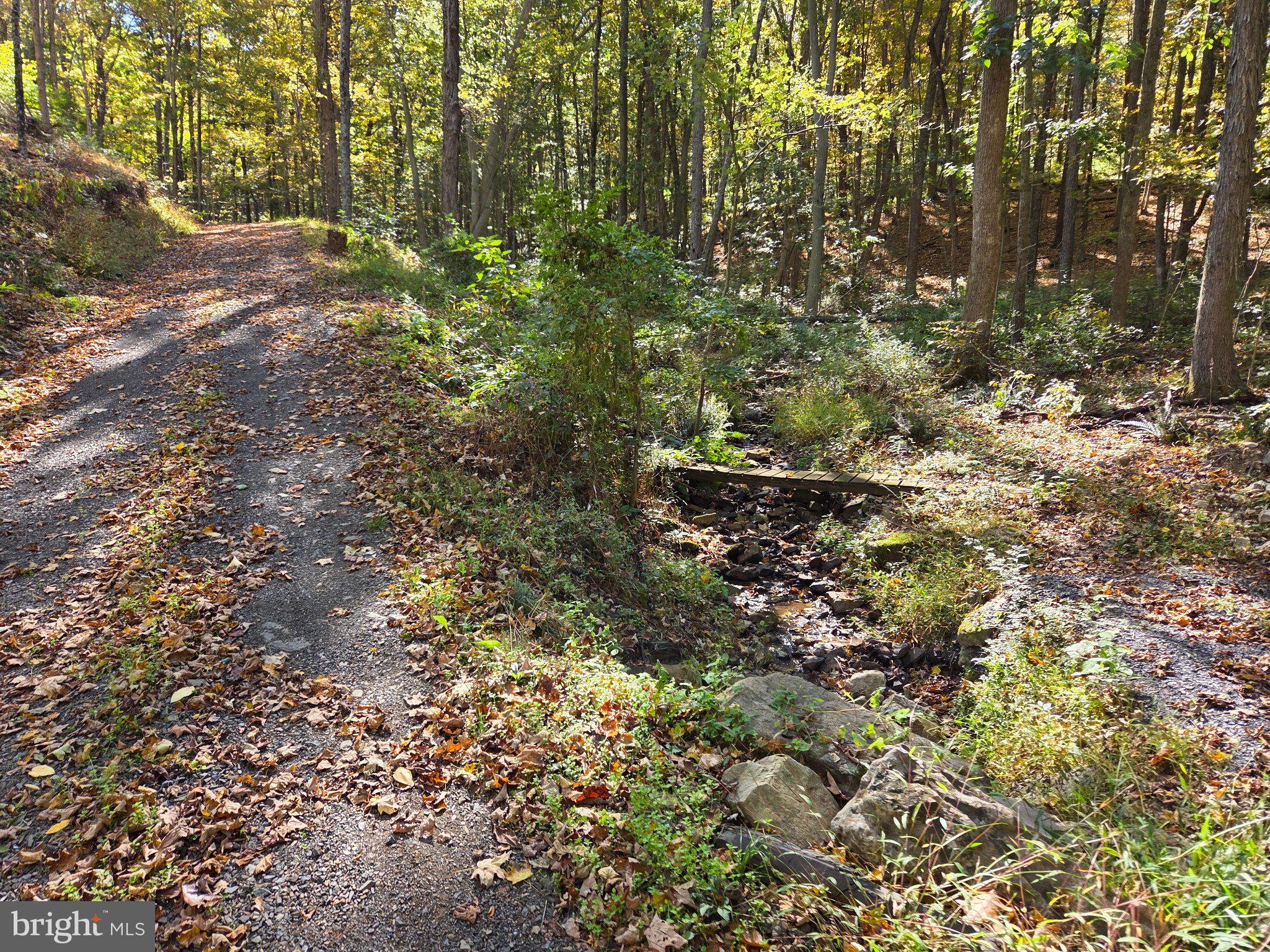 15321 BLACKLOG VALLEY ROAD