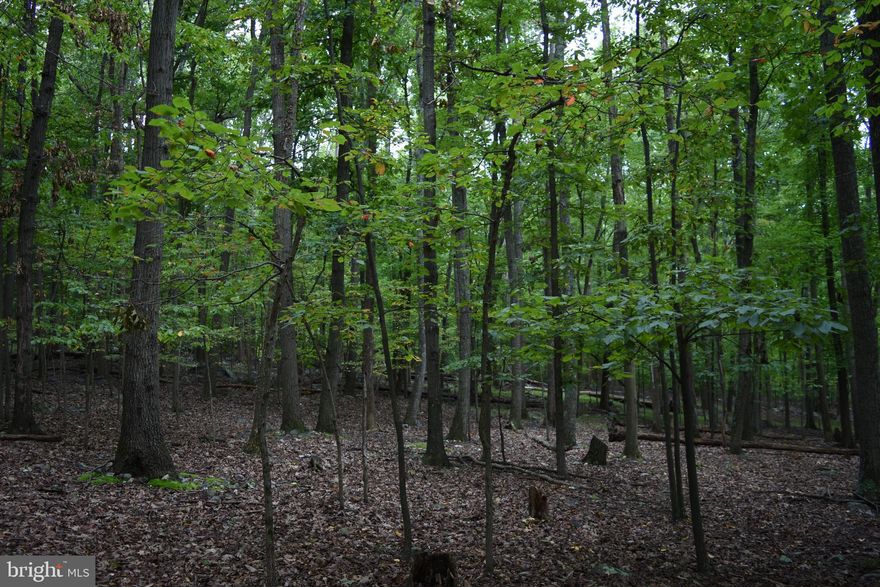 Almost an acre in the Shannondale development in Harpers Ferry could be yours! Wooded lot on a road with no thru access to keep the traffic down! Just about 15 minutes from downtown Charles Town and minutes from the Shenandoah river! 2 lots totaling 0.9182 acres. Sellers may consider selling lots individually (0.4591 acres each)
