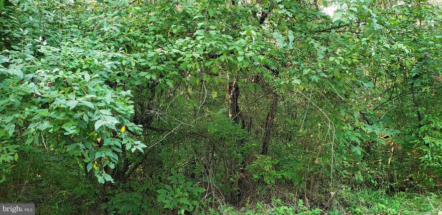 This lot is situated on Bryce Resort and is an excellent, level building lot.

Bryce is a beautiful, FOUR Seasons Resort situated in the Shenandoah Valley and features 4 Seasons of Fun and Activities. Some activities include Golf (18 Hole PGA golf course), Downhill Skiing during the winter months, Snowboarding, Snow Tubing, Pickleball, Tennis, a lovely 45 acre lake (Lake Laura) with swimming, fishing, paddle boating, canoeing & kayaking.

Locally, there are Caverns & Wineries (tours available), as well, as the famous Route 11 potato chip factory ("chipping" tours are available). During the summer months, the Shenandoah Music Festival is held in Orkney Springs. Please check online for more information.