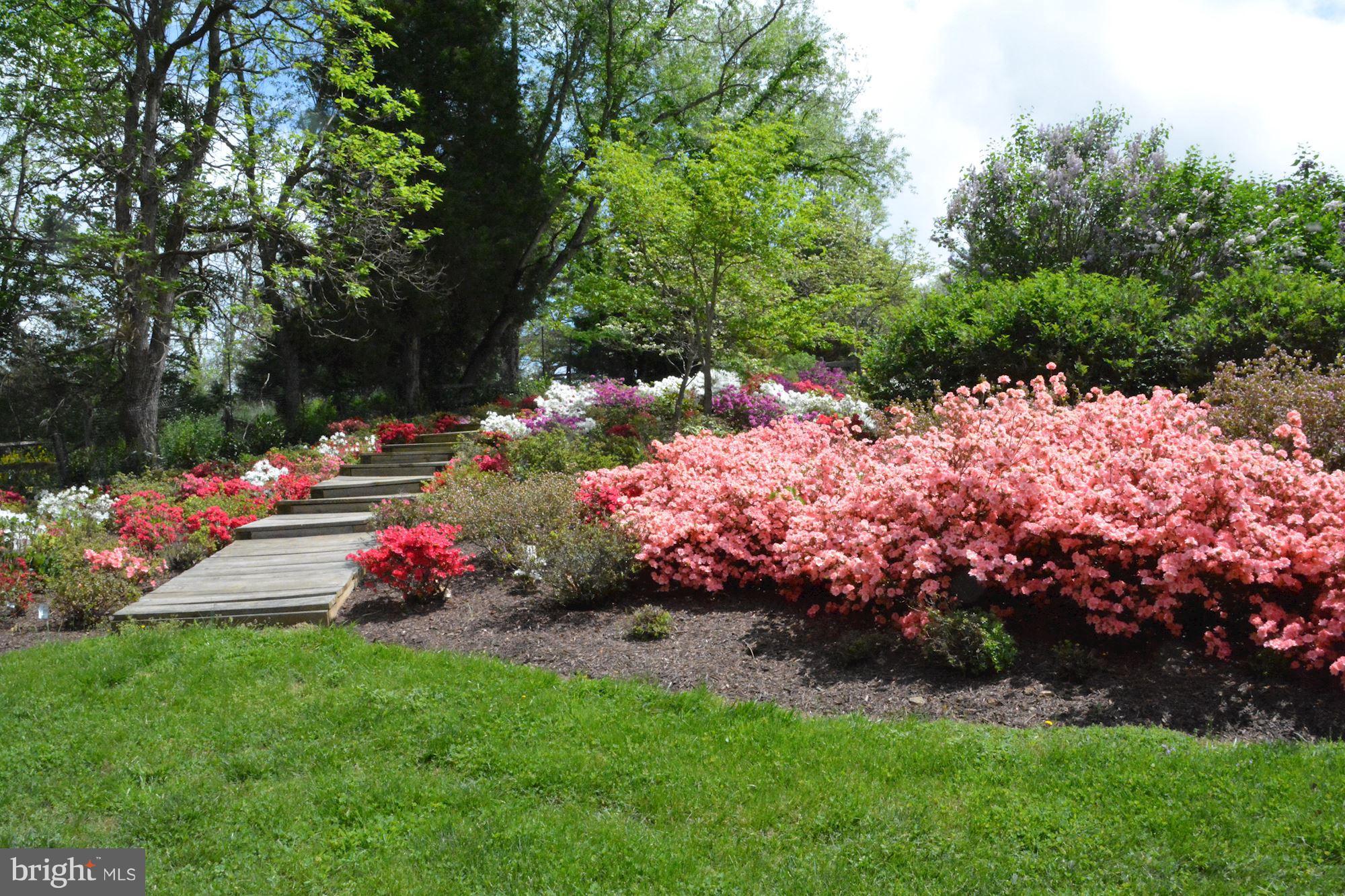 BEALLMOUNT GROVE - Residential