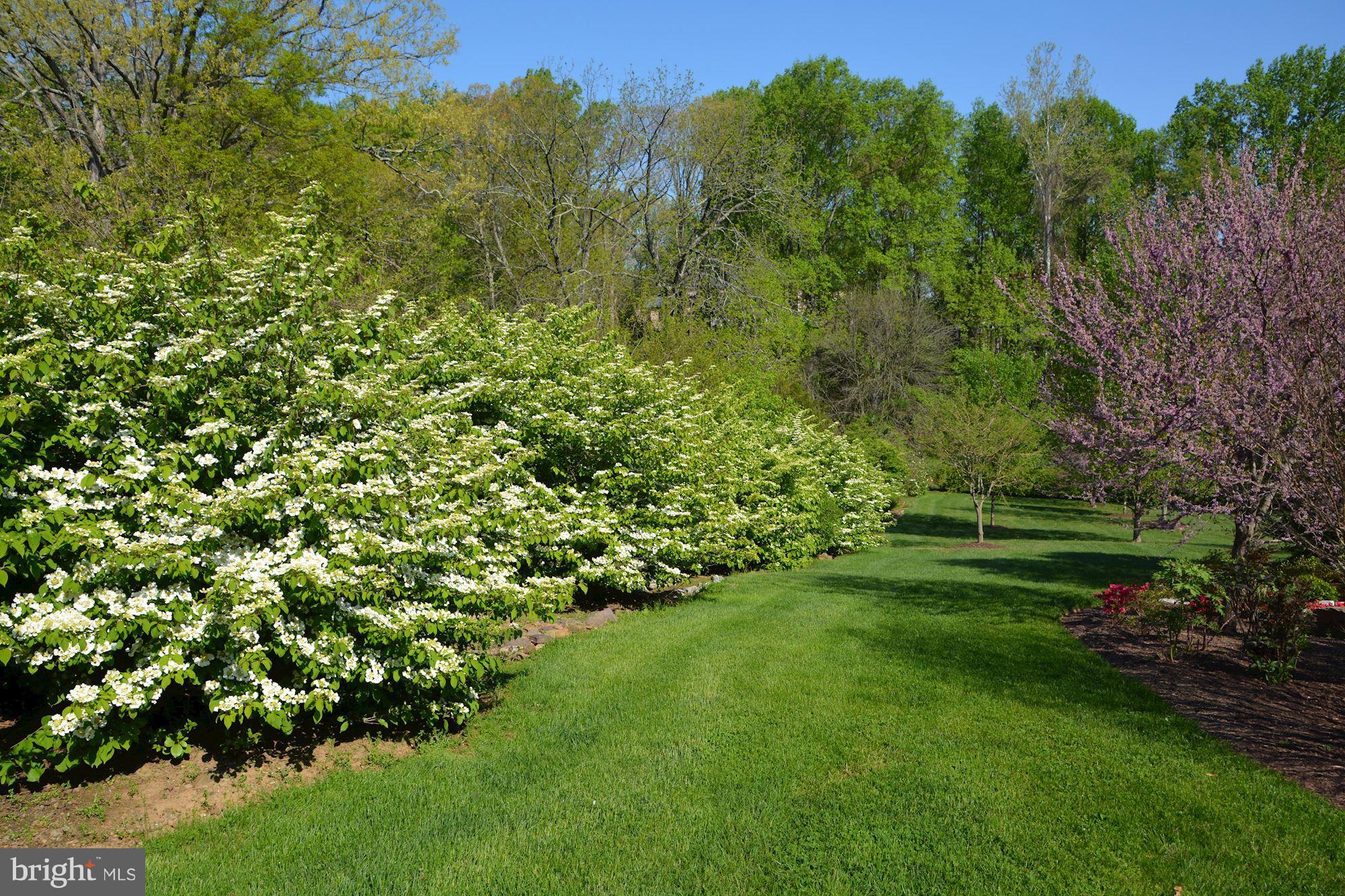 BEALLMOUNT GROVE - Residential