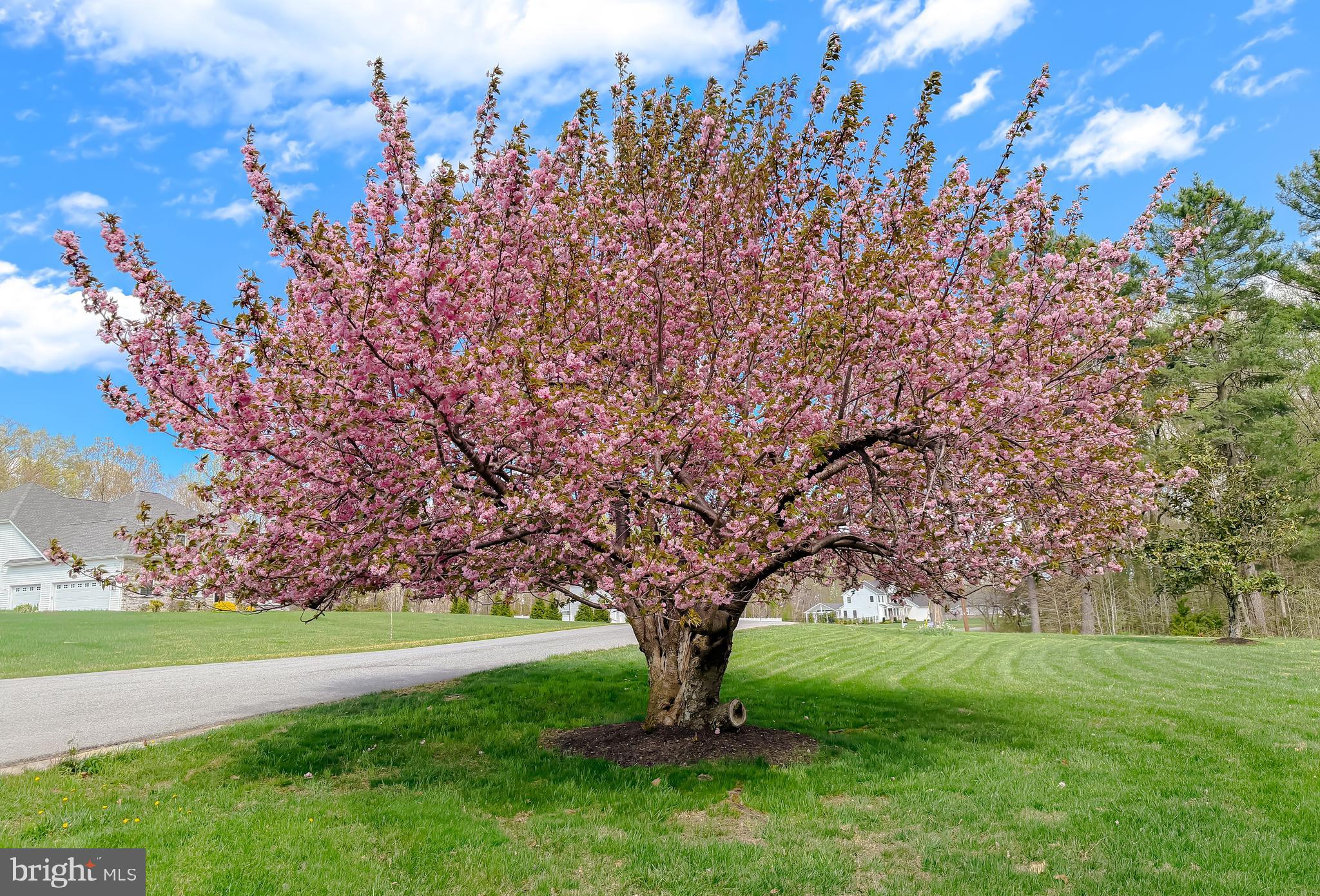 KERRICK MANOR - Residential
