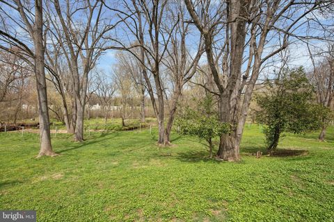 listing image 48