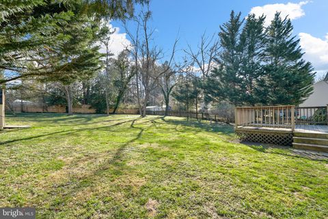 listing image 54