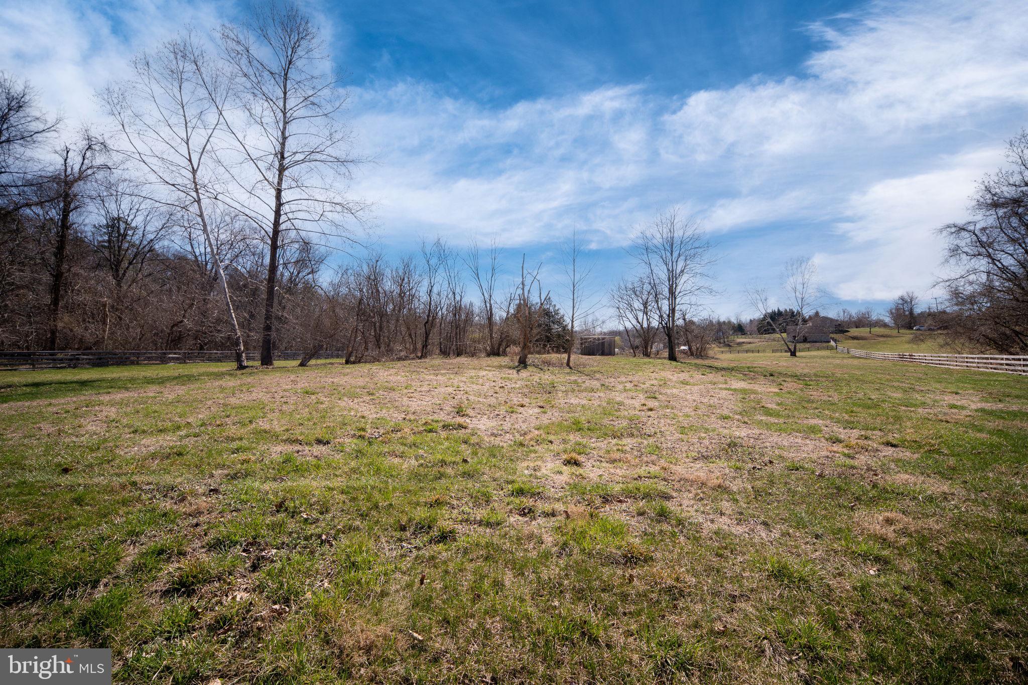 CATALPA - Residential