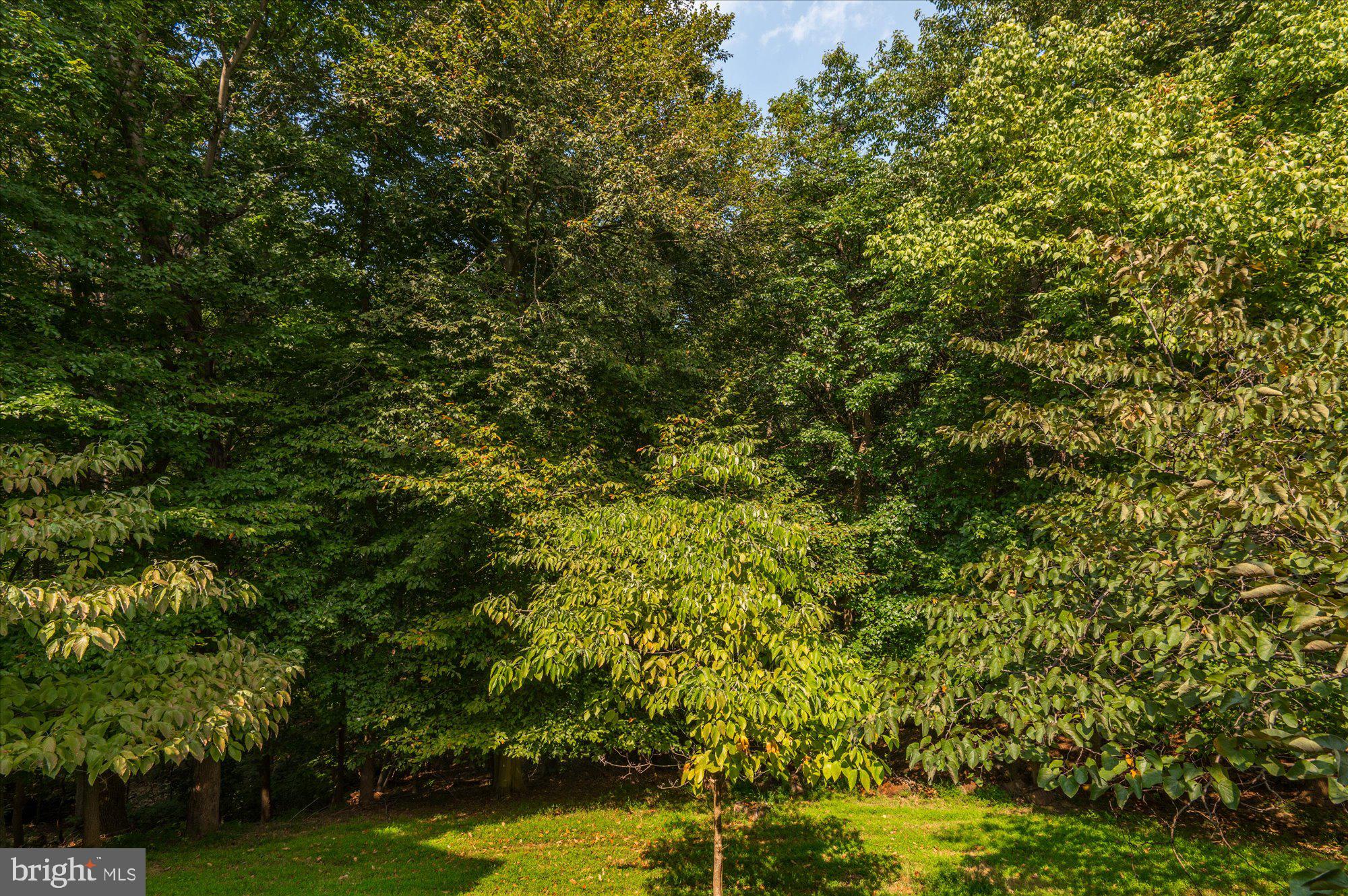 RIVER FALLS - Residential