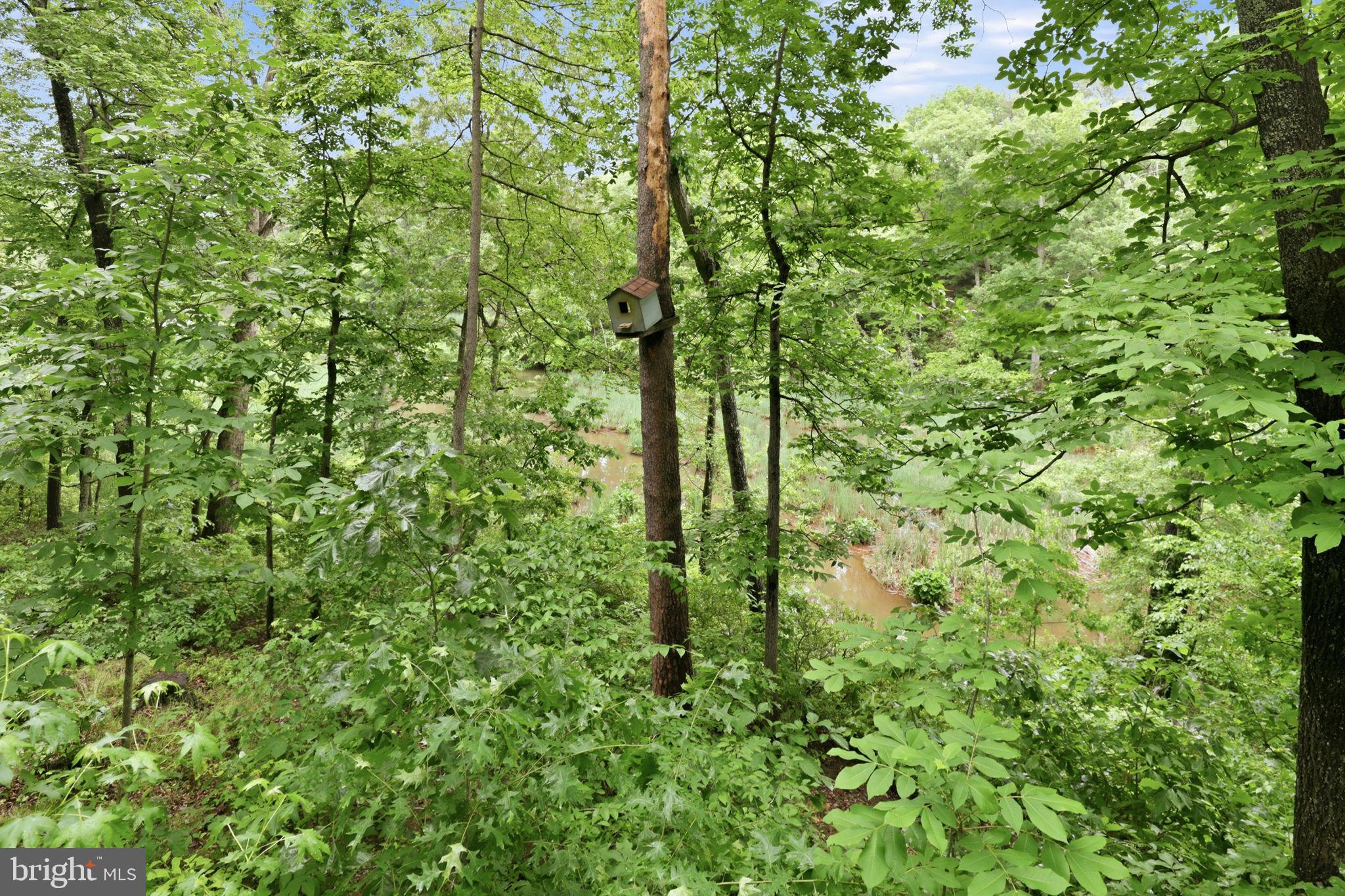 GINGERVILLE WOODS - Residential