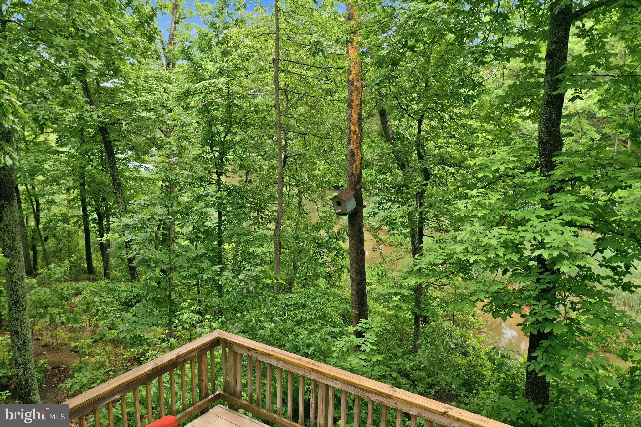 GINGERVILLE WOODS - Residential