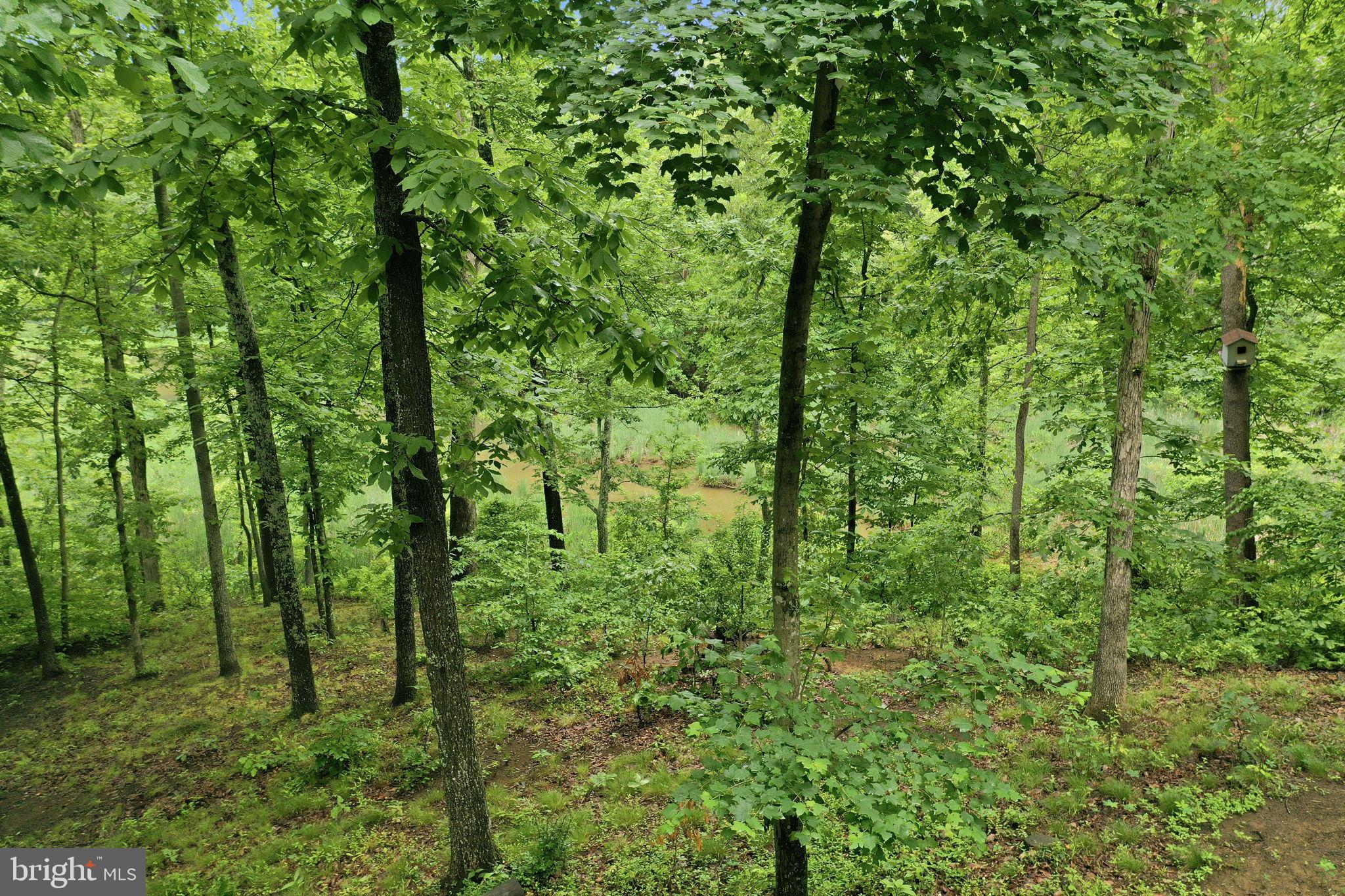 GINGERVILLE WOODS - Residential