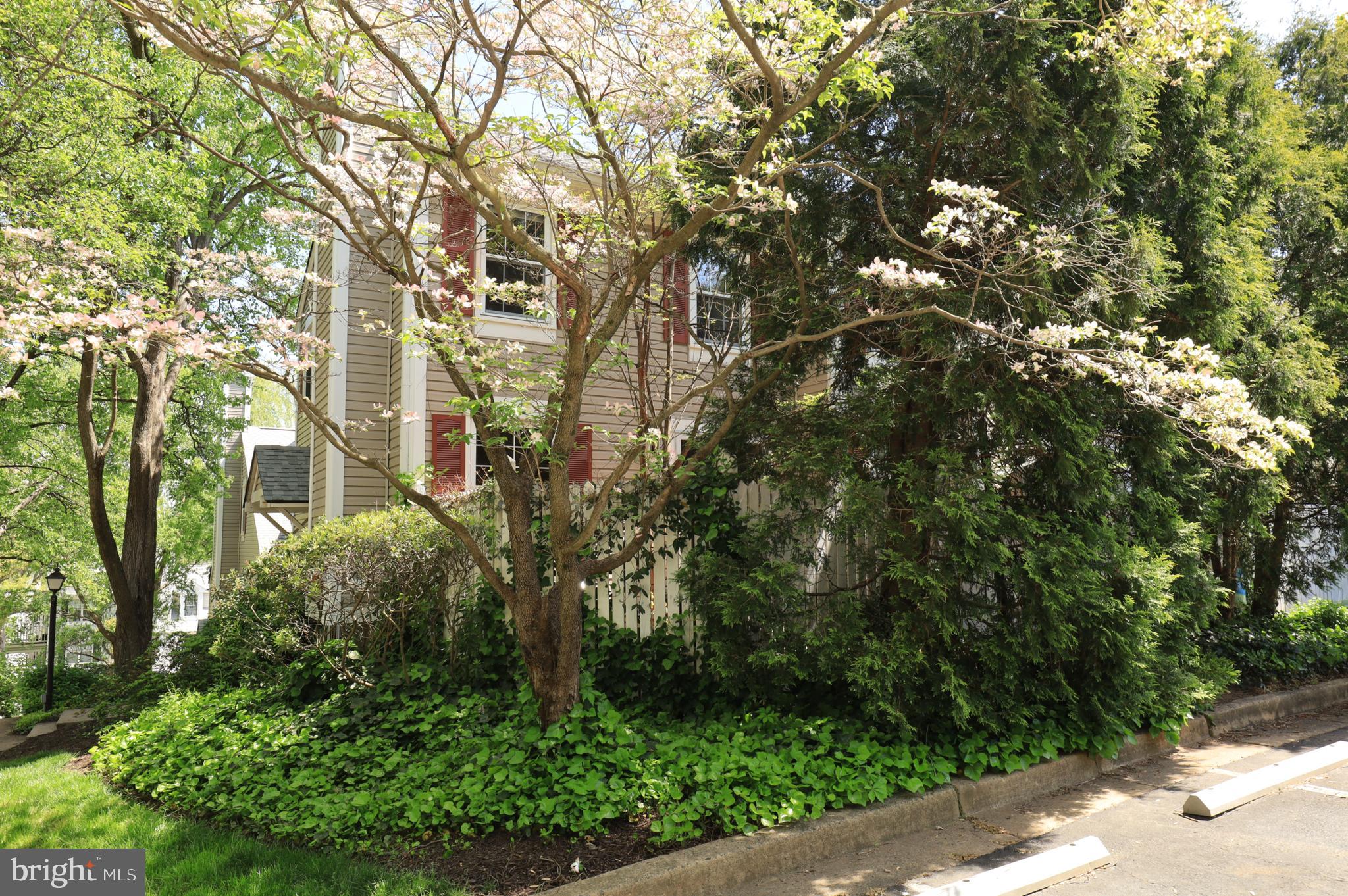 COURTBRIDGE I - Residential