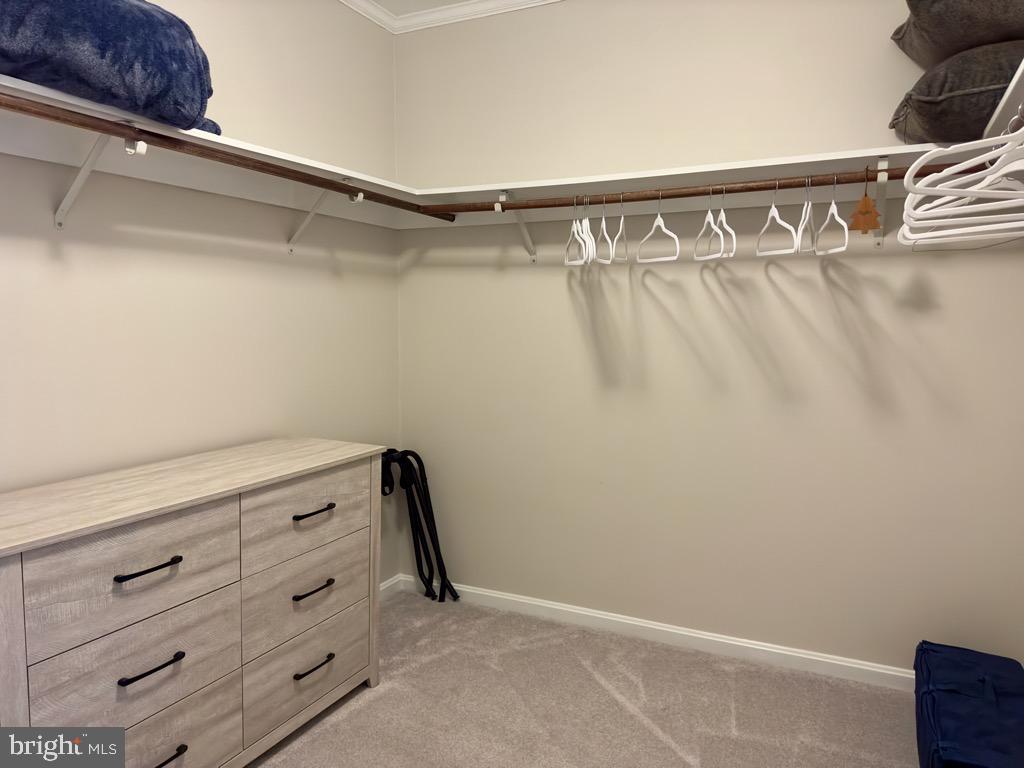 FOXHOLE ESTATES - Residential