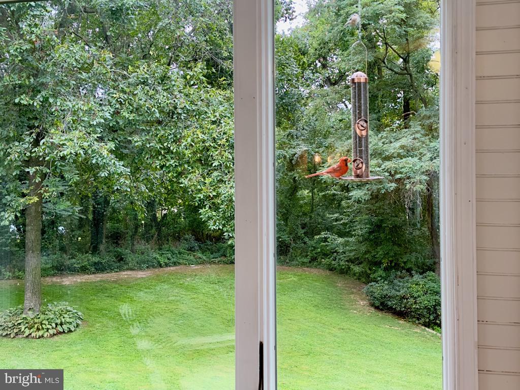 FOXHOLE ESTATES - Residential