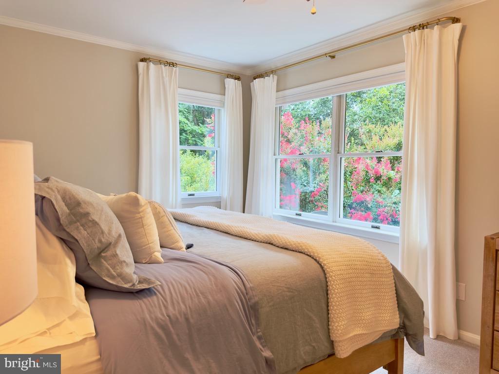 FOXHOLE ESTATES - Residential