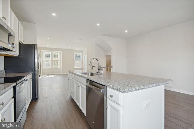 CARDINAL POINTE - Residential