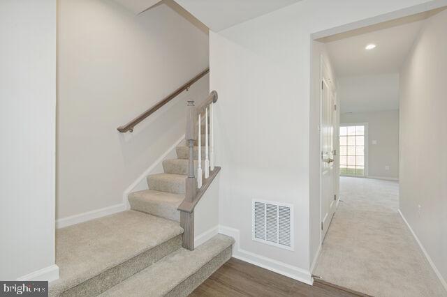 CARDINAL POINTE - Residential