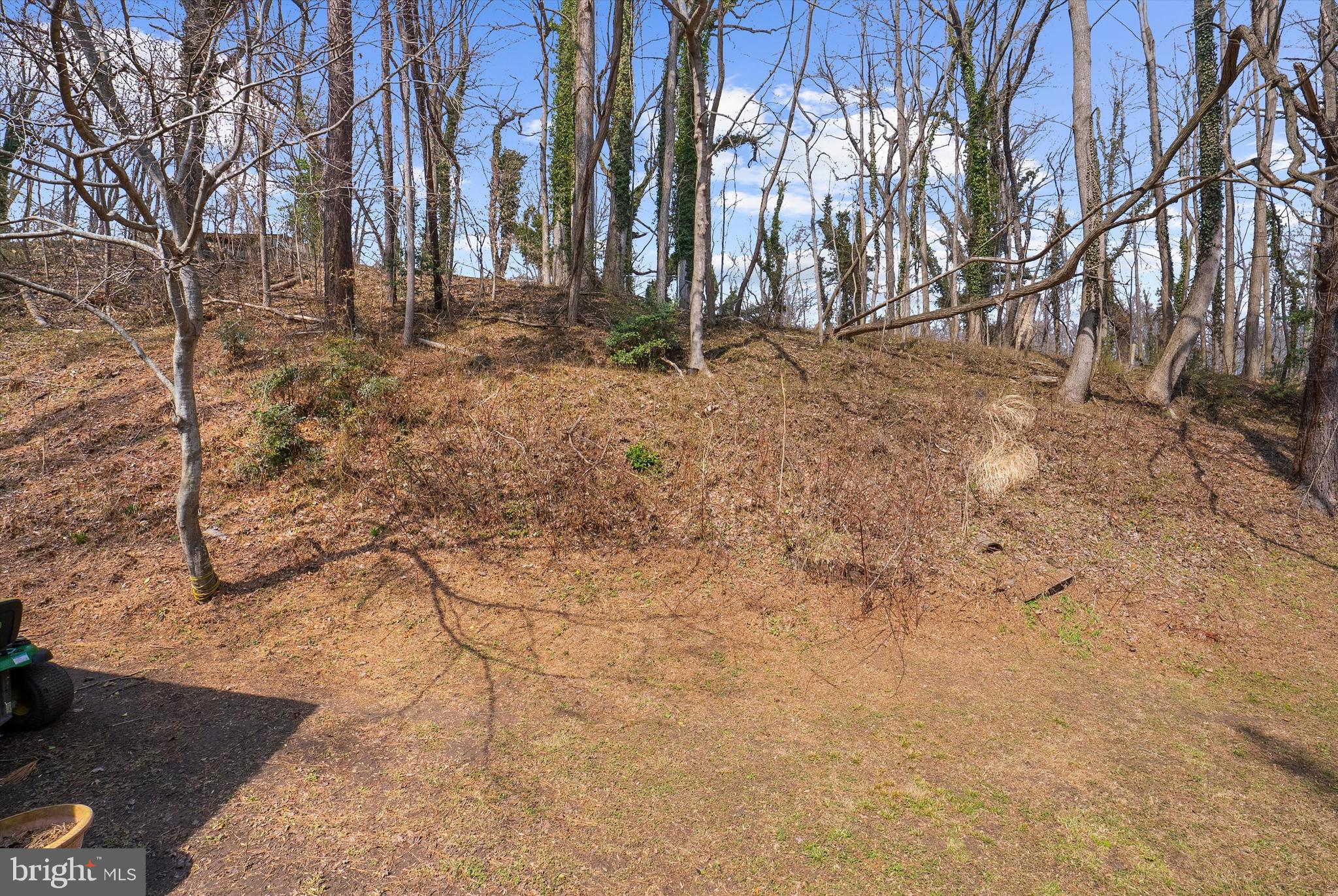 CHESAPEAKE HEIGHTS - Residential