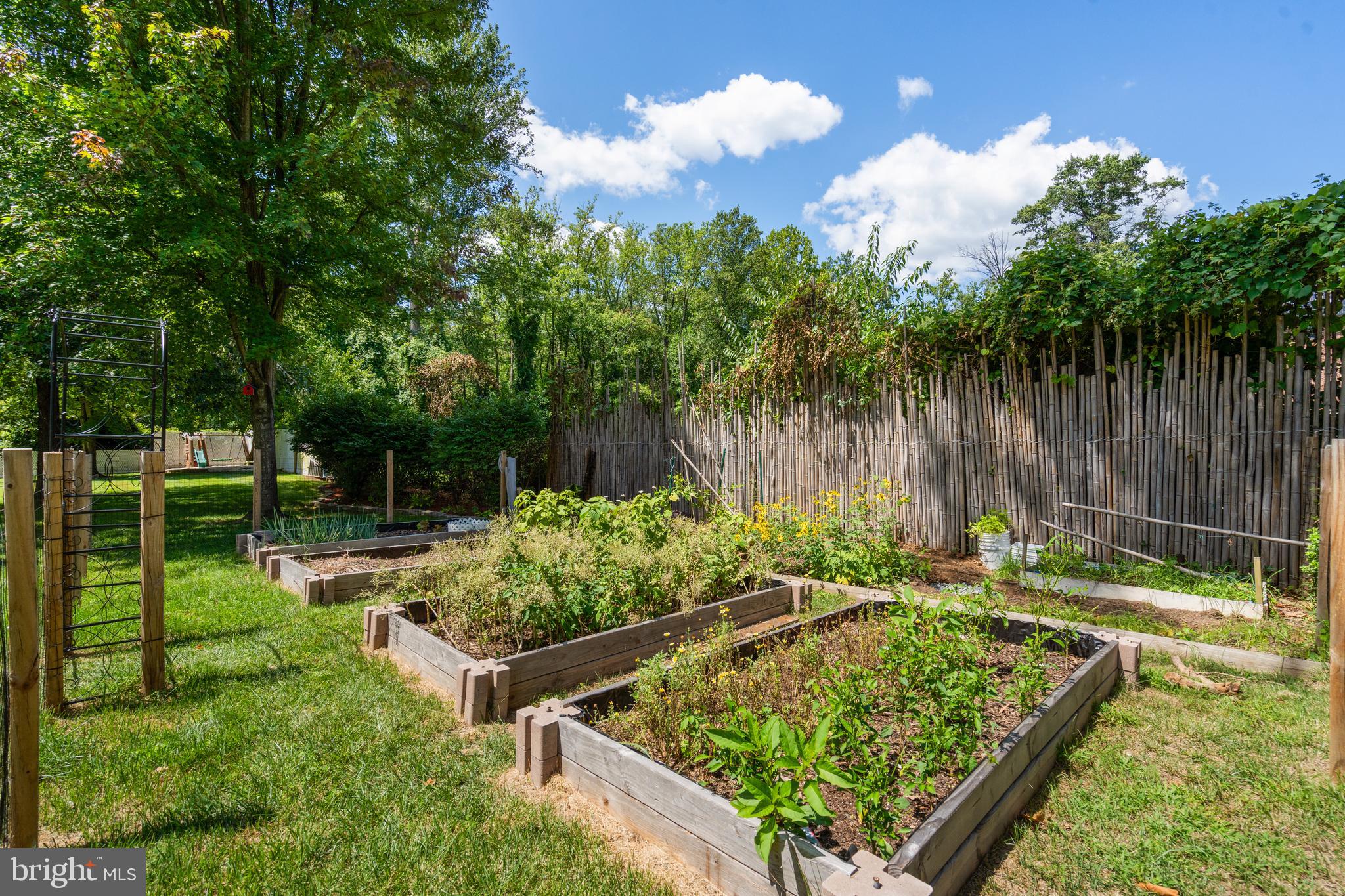 ANNANDALE ACRES - Residential