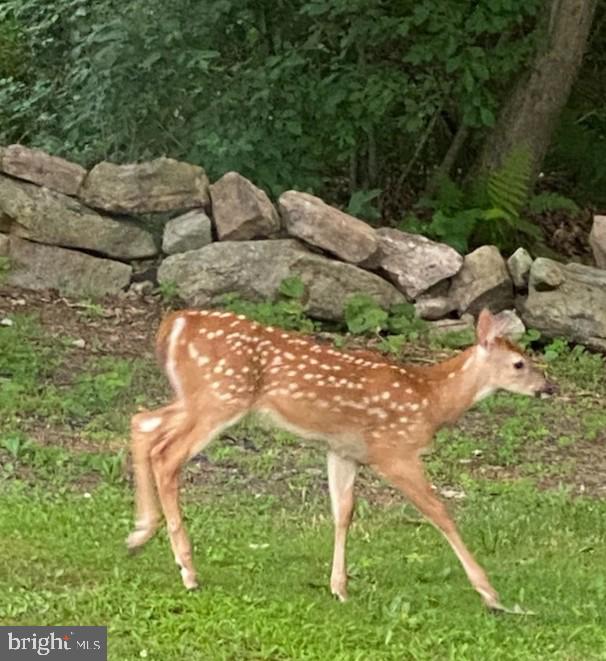 LAKE WYNONAH - Residential