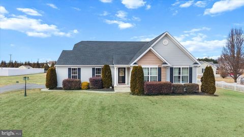 7666 MUSTANG RUN MILFORD DE 19963