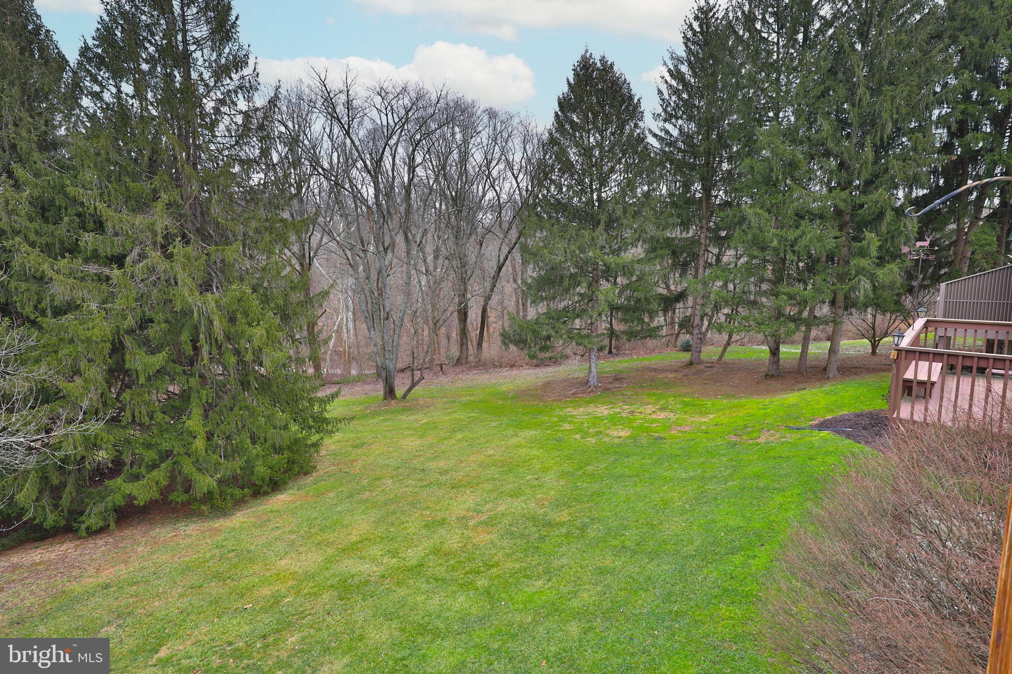 TALL TREES - Residential