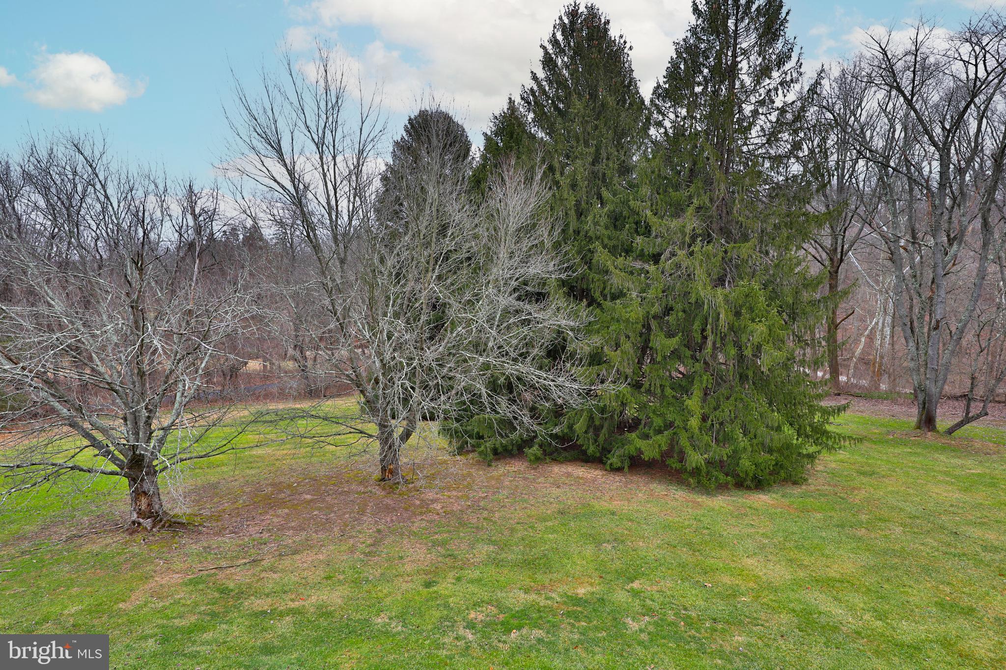 TALL TREES - Residential