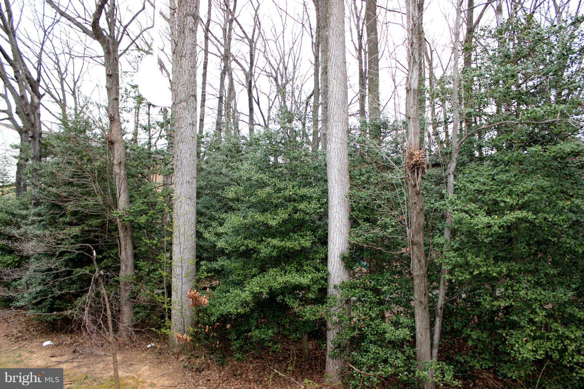SHADOWOOD - Residential Lease