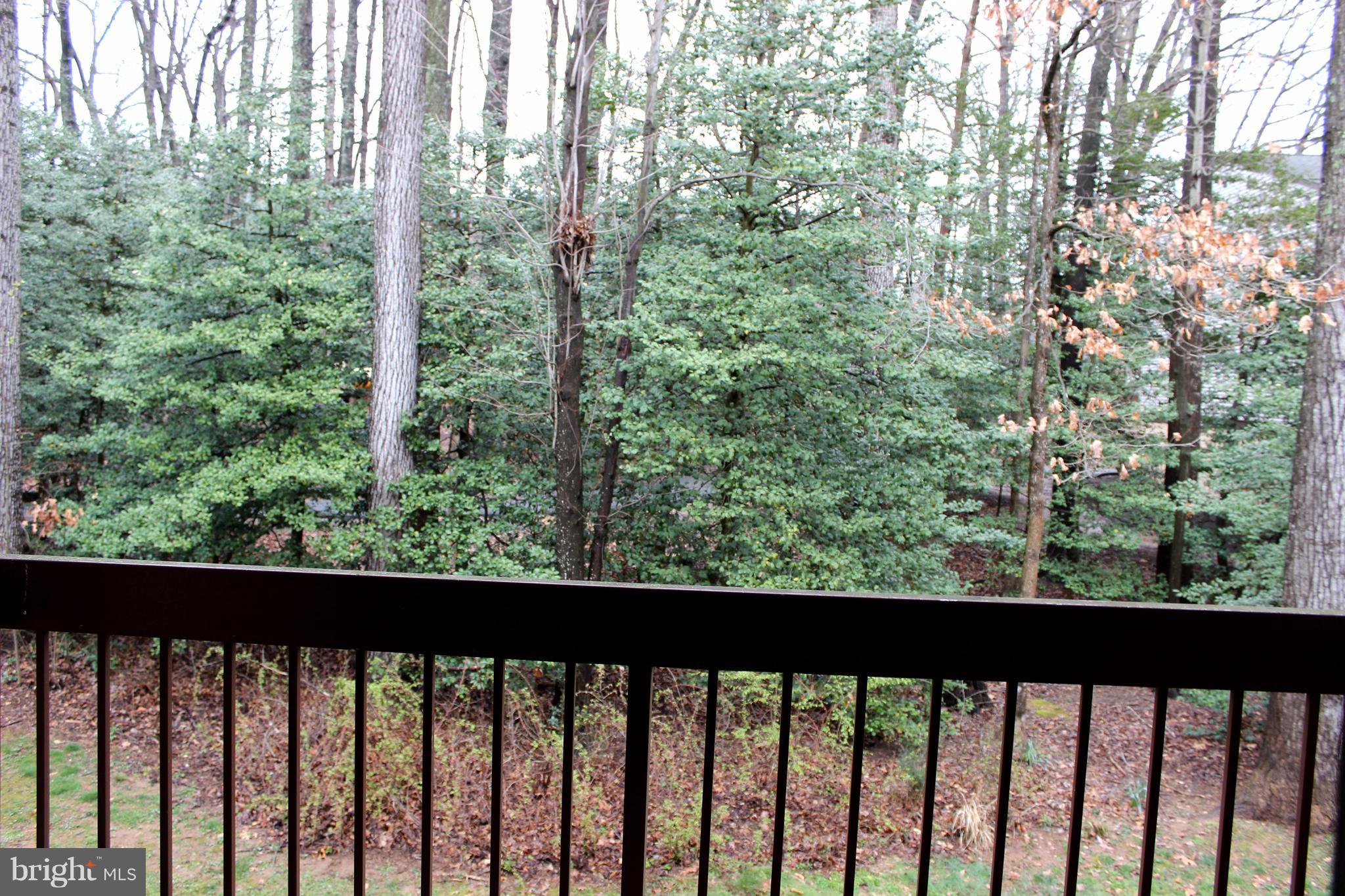 SHADOWOOD - Residential Lease