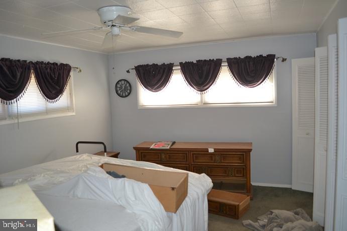 SNOWBALL GATE - Residential