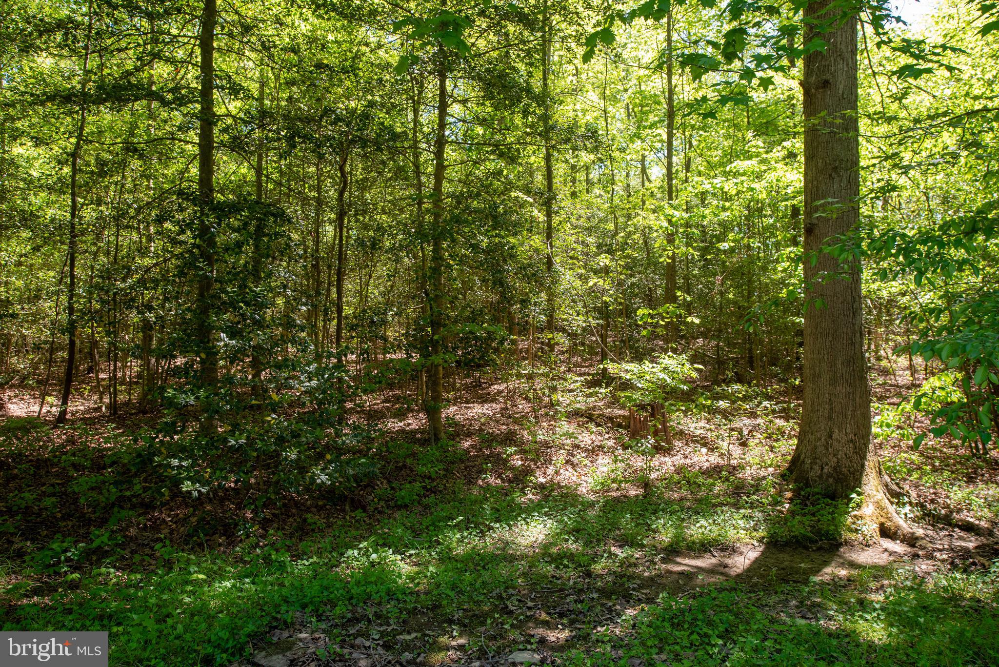 LAKE LAND OR - Residential