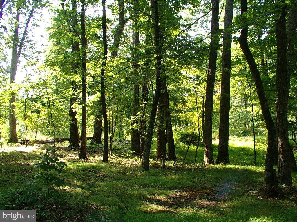 RITTERS HIDDEN VALLEY ESTATES - Residential