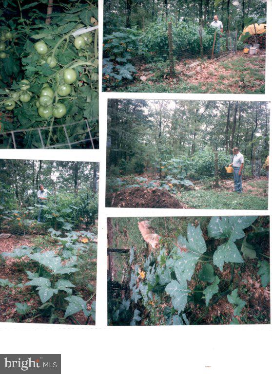 RITTERS HIDDEN VALLEY ESTATES - Residential