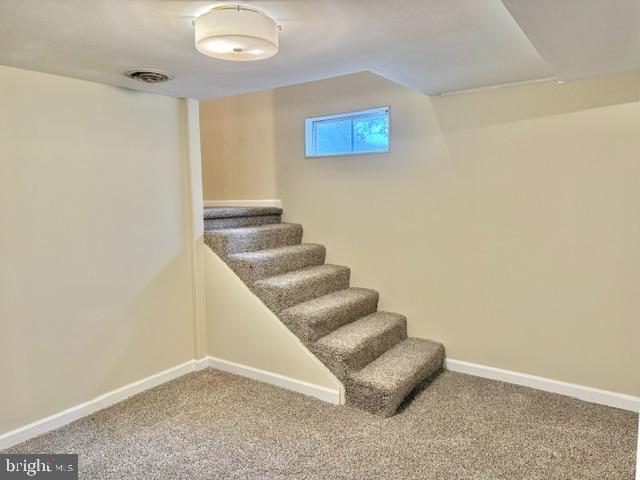 WASHINGTON PARK - Residential