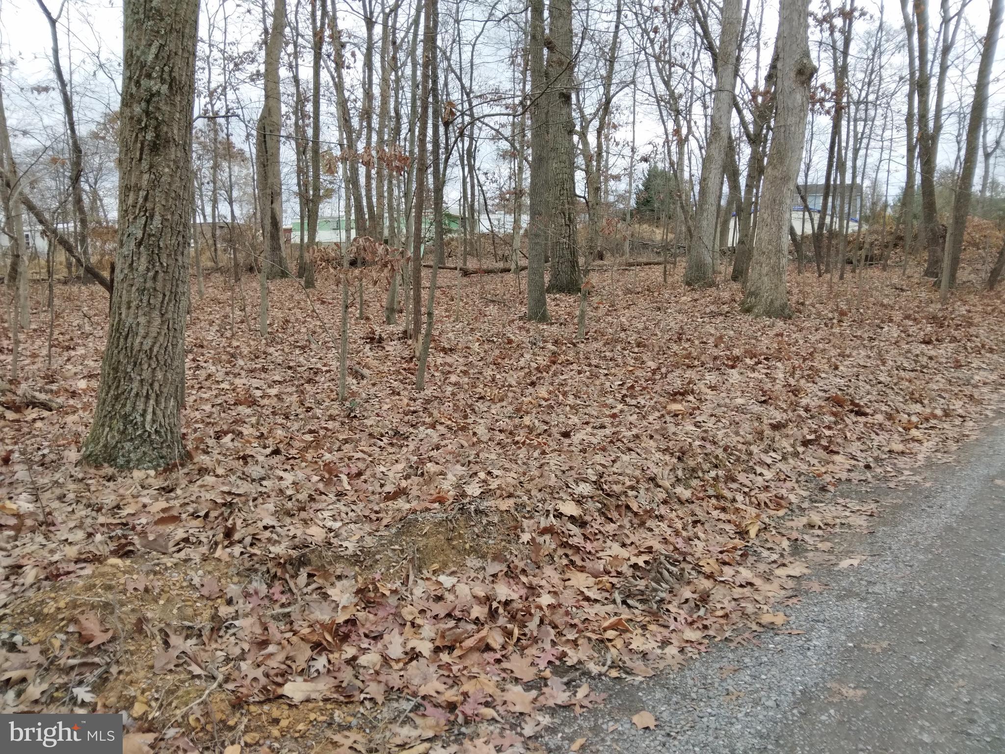 Two Recreation lots in Potomac Park Subdivision totaling 80' x 100'. There is Potomac River access where you could walk or quick drive to and fish, swim of just enjoy the view. Could possibly make a good camping area. There is no septic, or water hookups. Buyers will need to do their own due diligence in regard to getting information from the Berkeley County health Dept. for the purposes they want to use the property for. Accuracy or square footage, lot size and location and other information is not guaranteed by the seller or agents. It is highly recommended that the buyers have a survey done.