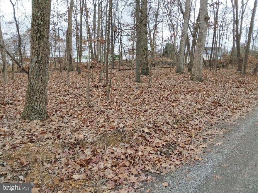 Two Recreation lots in Potomac Park Subdivision totaling 80' x 100'.   There is Potomac River access where you could walk or quick drive to and fish, swim of just enjoy the view.  Could possibly make a good camping area.  There is no septic, or water hookups.  Buyers will need to do their own due diligence in regard to getting information from the Berkeley County health Dept. for the purposes they want to use the property for.   Accuracy or square footage, lot size and location and other information is not guaranteed by the seller or agents. It is highly recommended that the buyers have a survey done.
