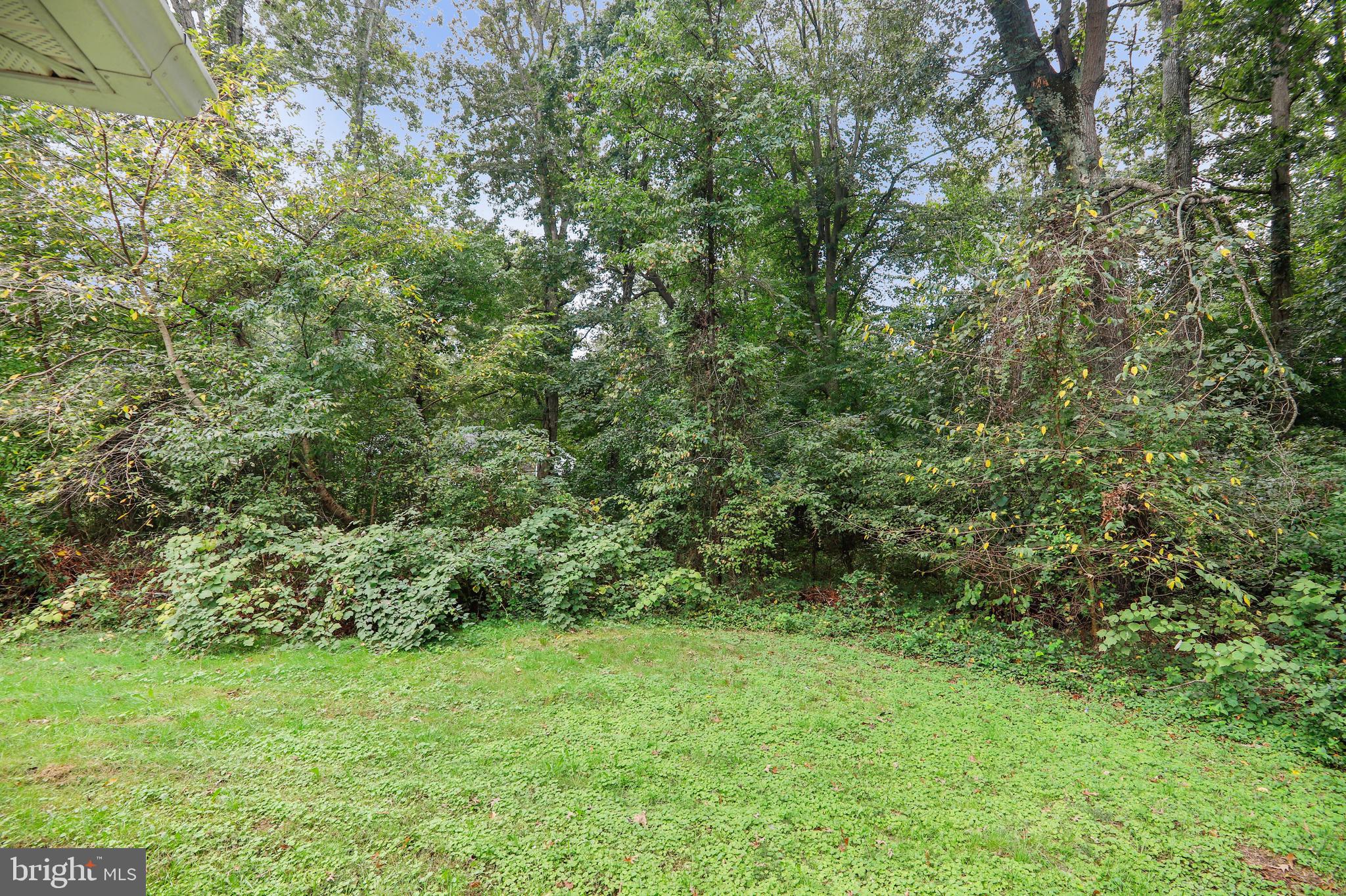 FOREST PARK - Residential