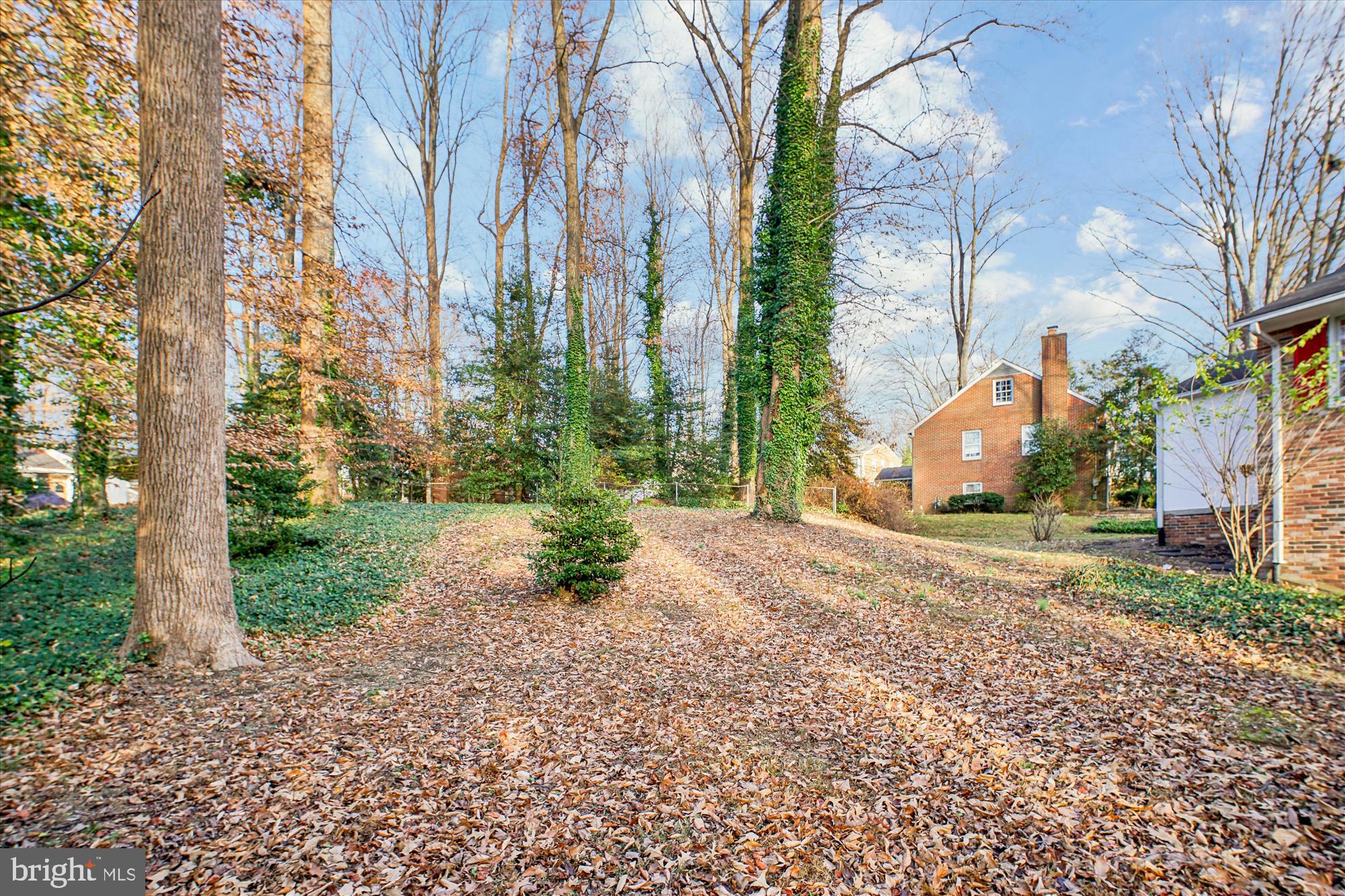 WILLOW WOODS - Residential