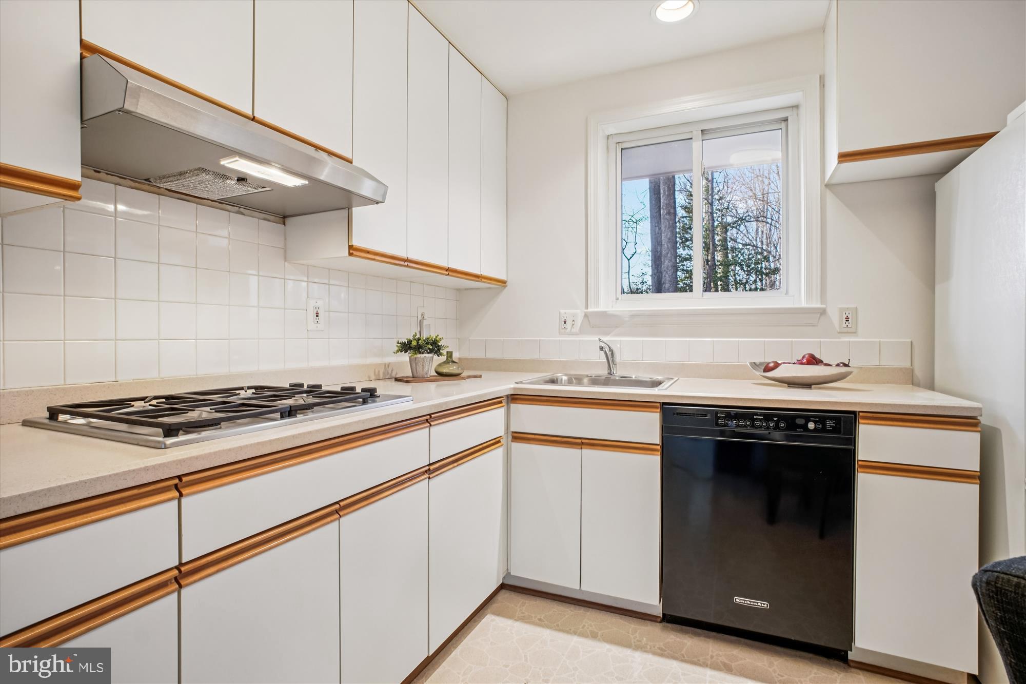 WILLOW WOODS - Residential