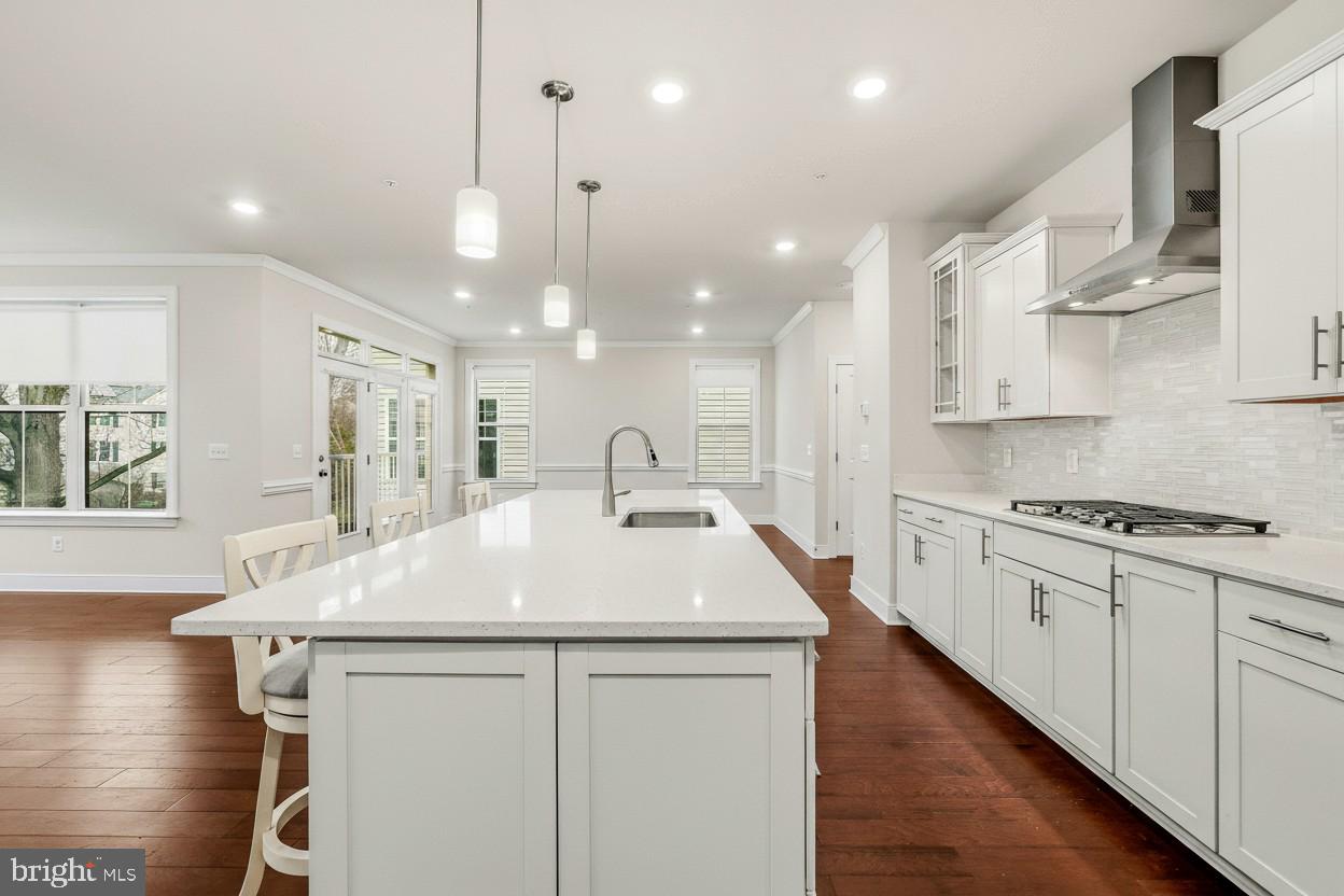 THE CHASE AT QUINCE ORCHARD - Residential