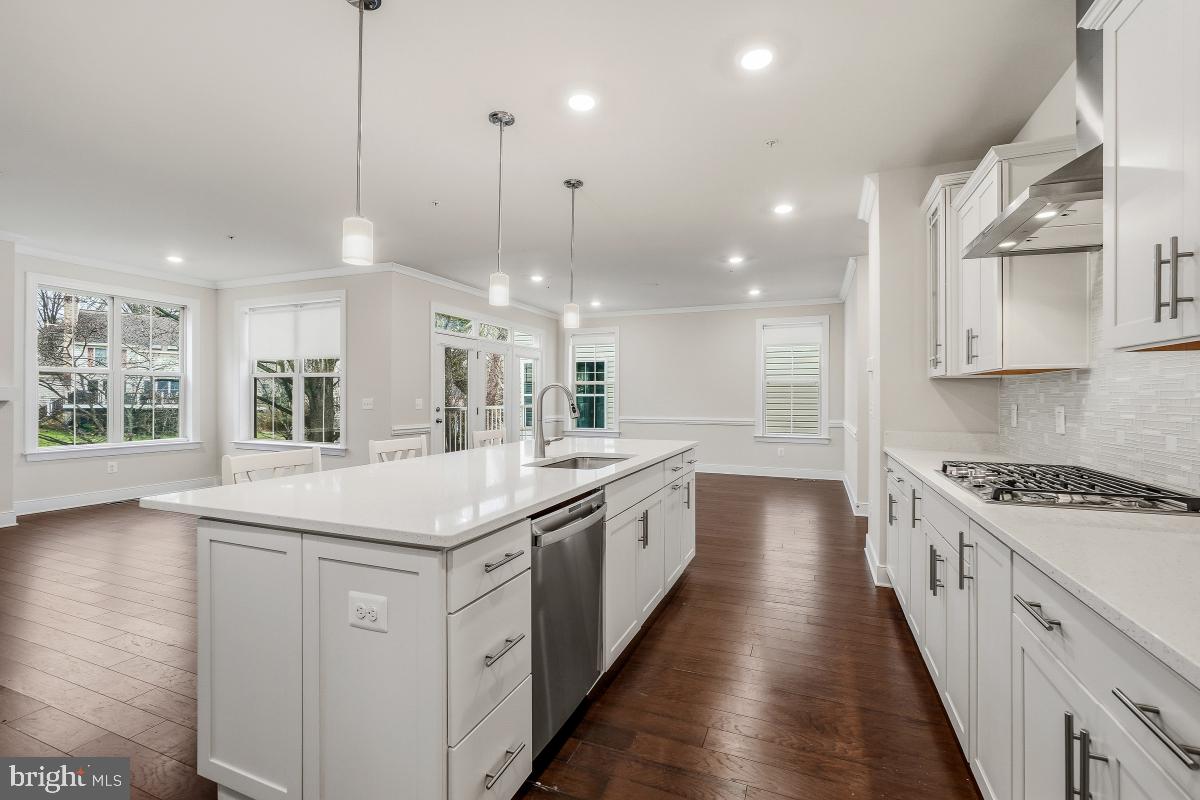 THE CHASE AT QUINCE ORCHARD - Residential