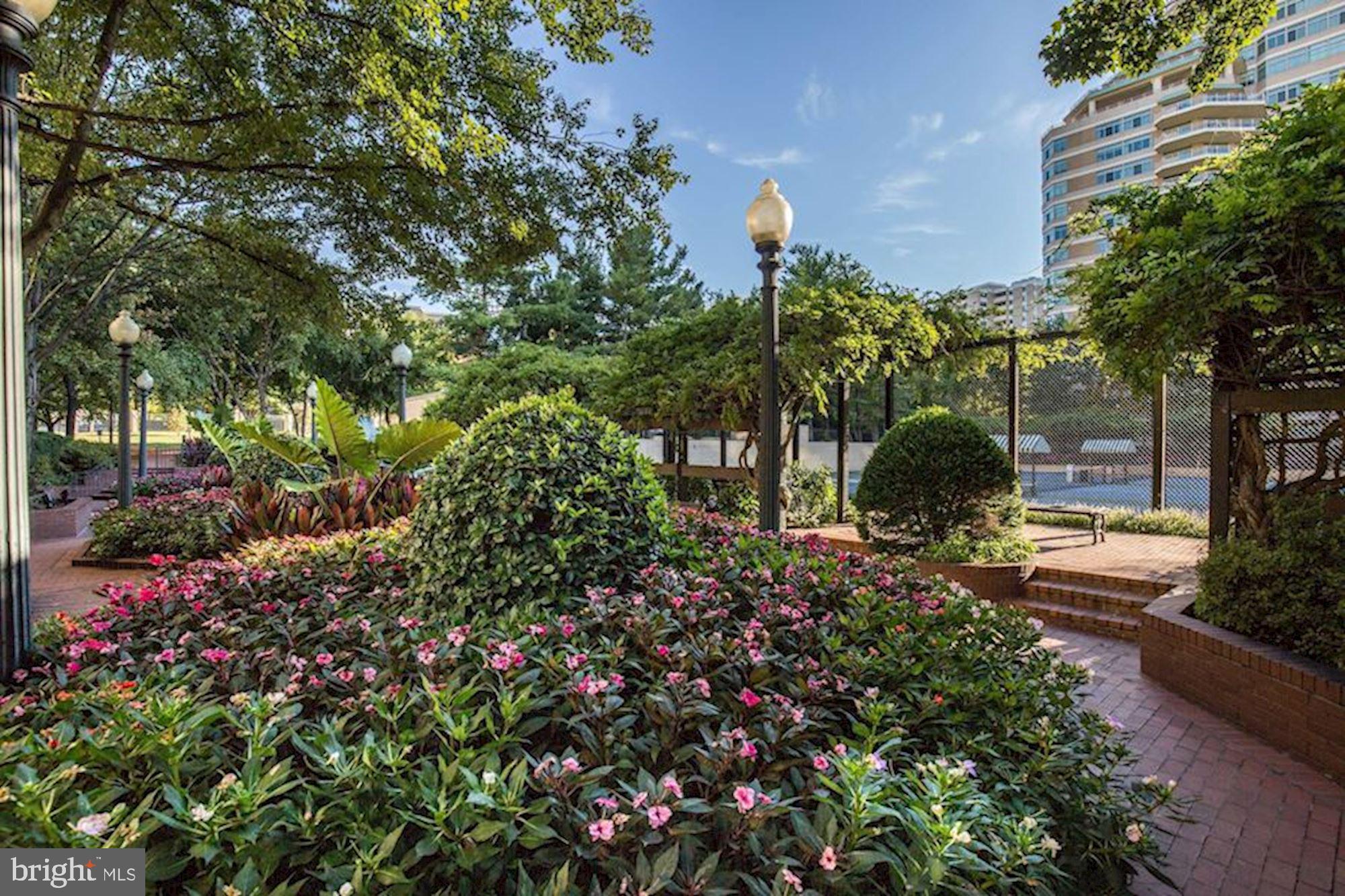 SOMERSET HOUSE CONDOS - Residential