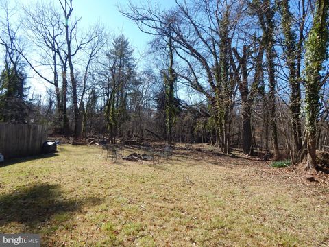 listing image 46