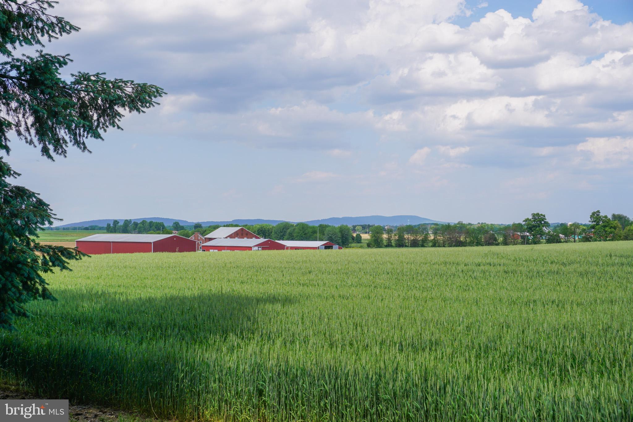 NONE, RURAL - Residential