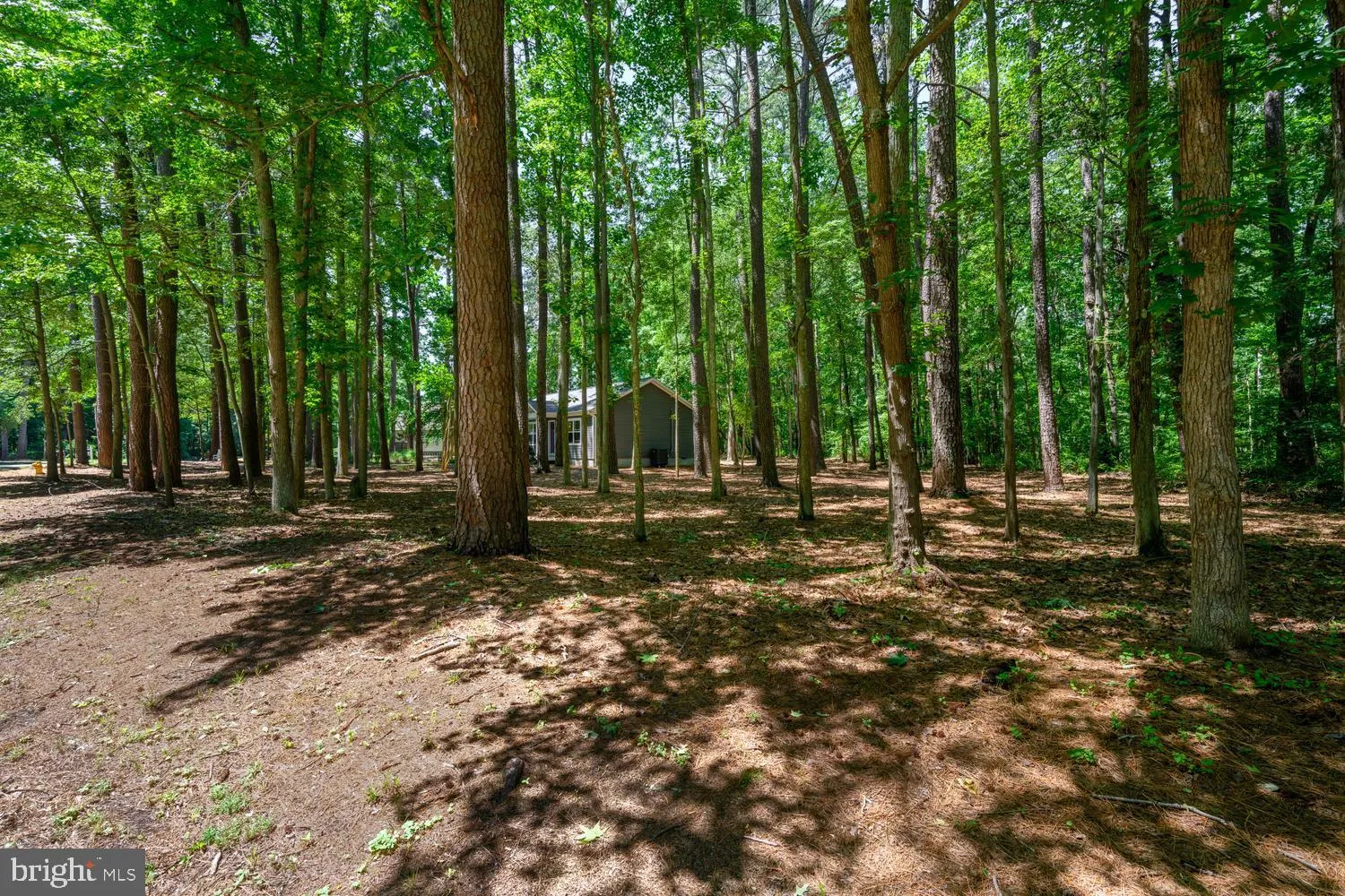 Additional image 117 of 225 Tyler Avenue, Saint Michaels, MD 21663